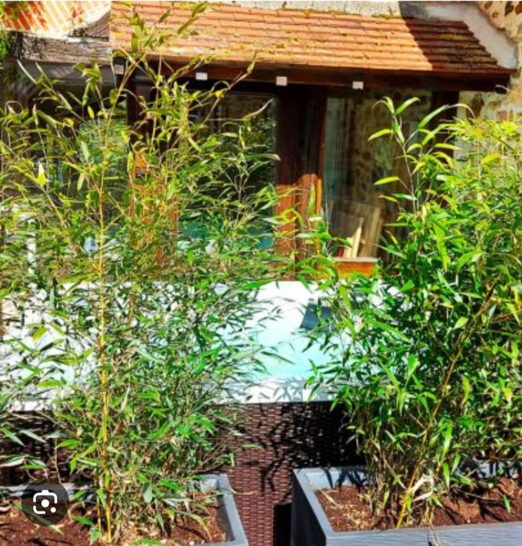 Les 3 Roses Bed and Breakfast Anjouin Buitenkant foto